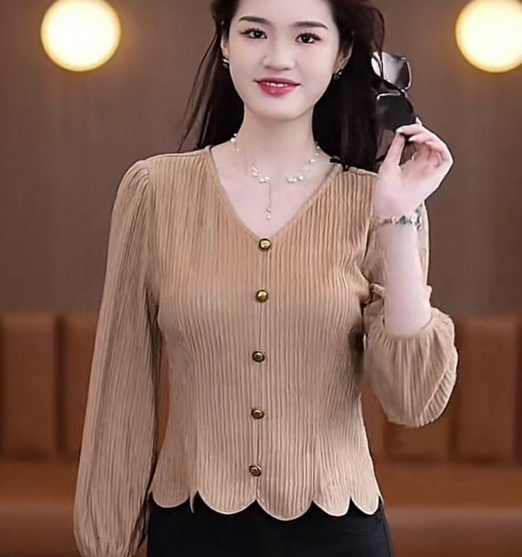 French Shirt Women Long-sleeve - đánh giá và giá Thai Silk Blouse